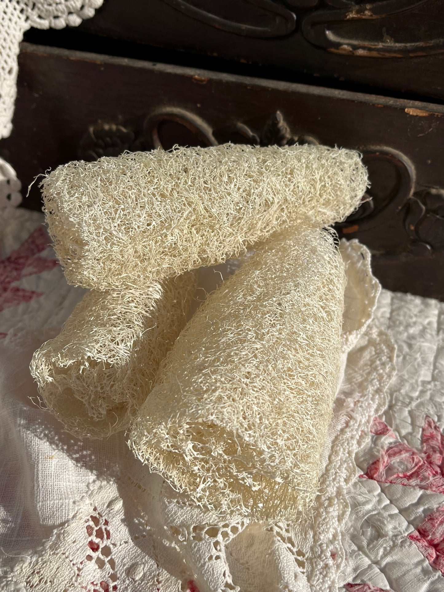 Luffa