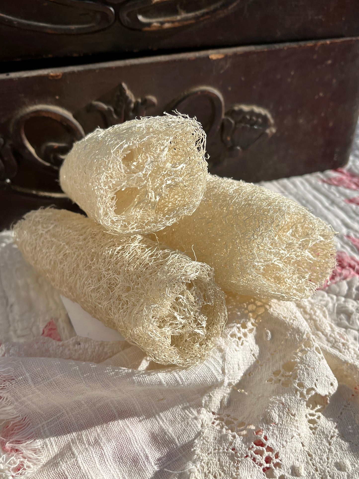 Luffa